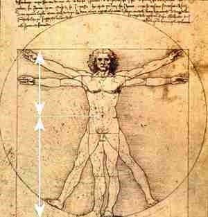 Människansproportioner enligt Leonardo da Vinci